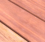 Without Umbrella Plate